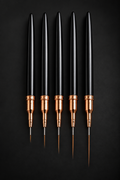 Nail Art Liner Brush 5-pc Set